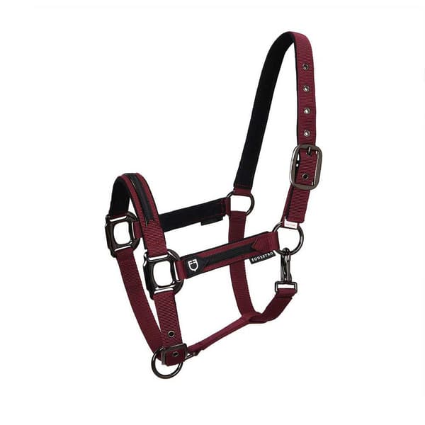 Equestro Elegance Grime Og Førerem  Coby