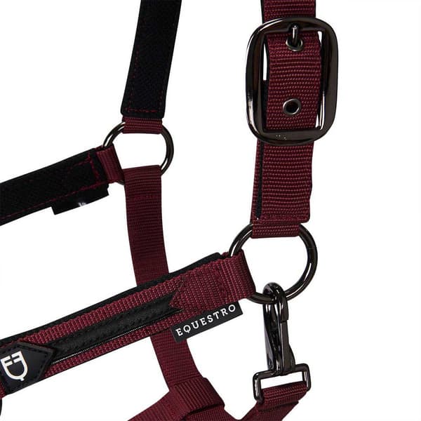 Equestro Elegance Grime Og Førerem  Full
