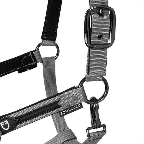 Equestro Elegance Riimu Ja Talutin  Coby