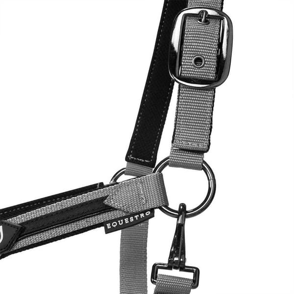 Equestro Elegance Riimu Ja Talutin  Coby