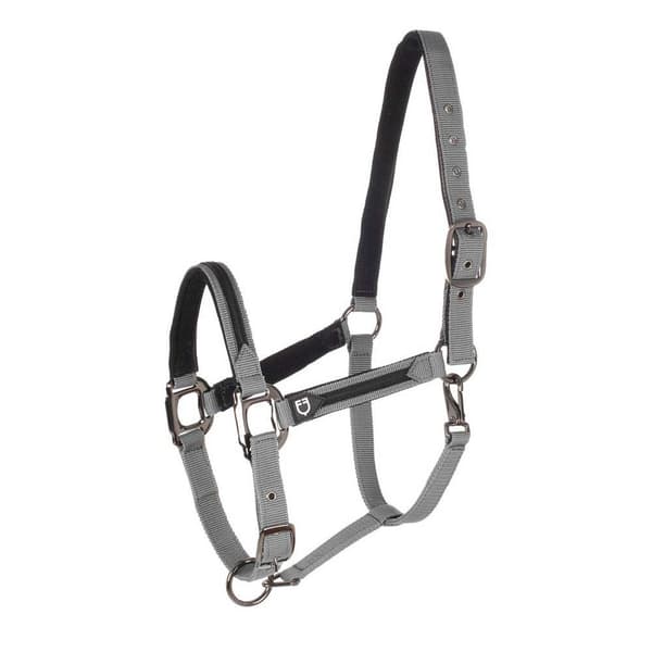 Equestro Elegance Grime Og Førerem  Full