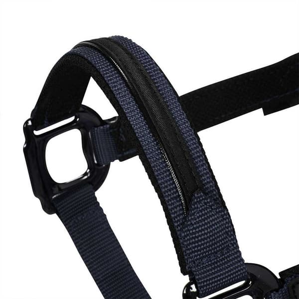 Equestro Elegance Grime Og Førerem  Coby