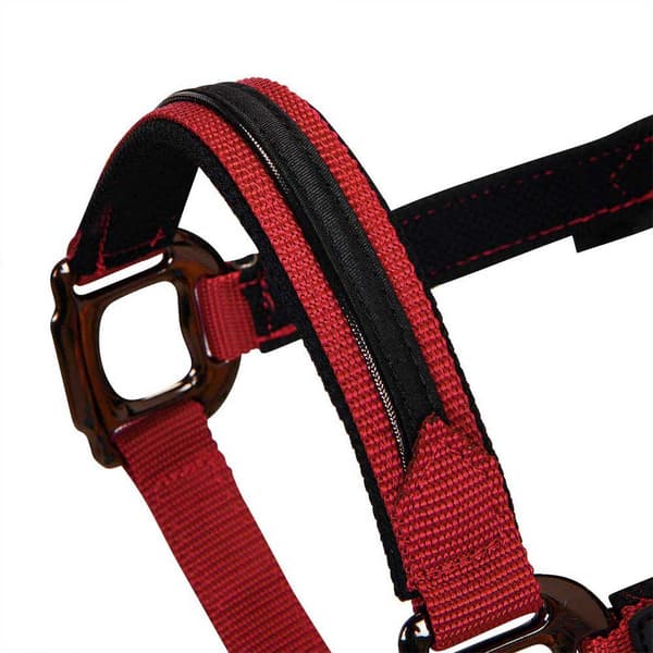 Equestro Elegance Grime Og Førerem  Coby