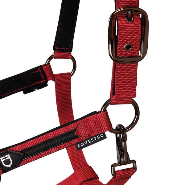 Equestro Elegance Grime Og Førerem  Coby