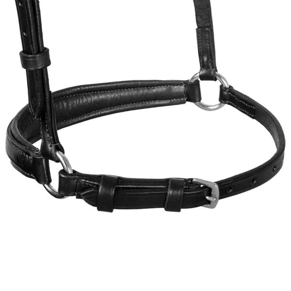 Equestro German Style Noseband Tøjle  Cob