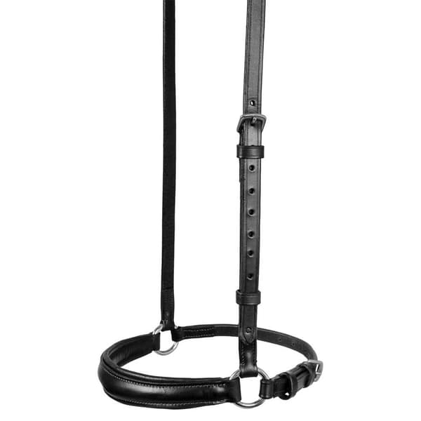 Equestro German Style Noseband Tøjle Cob