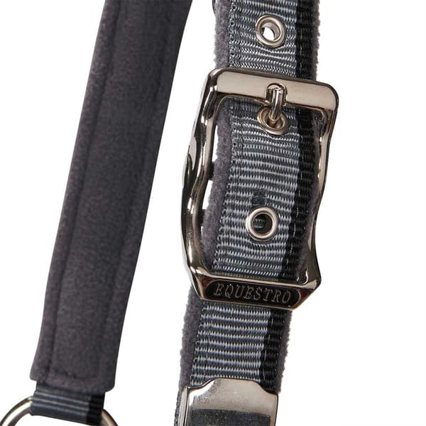 Equestro Red Trim Riimu Ja Talutin  Coby
