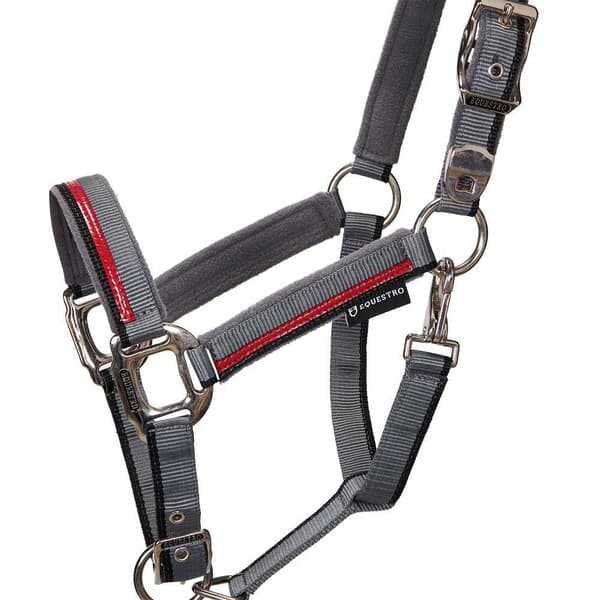 Equestro Red Trim Riimu Ja Talutin  Coby