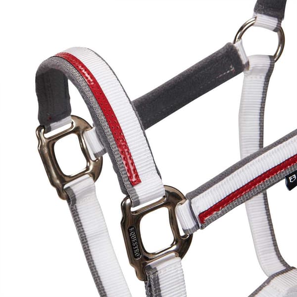 Equestro Red Trim Grime Og Førerem  Full