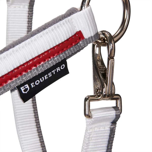 Equestro Red Trim Grime Og Førerem  Coby