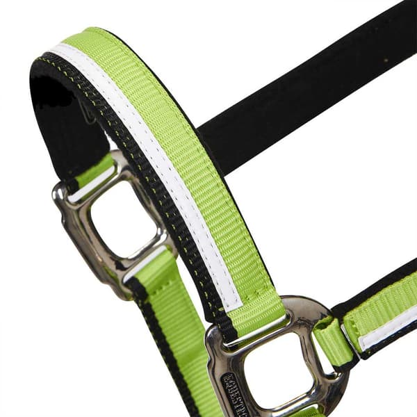 Equestro White Trim Grime Og Førerem  Pony
