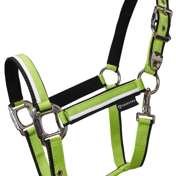 Equestro White Trim Grime Og Førerem  Pony
