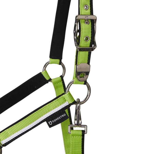 Equestro White Trim Riimu Ja Talutin  Coby