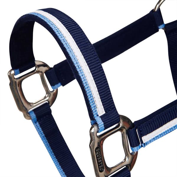 Equestro White Trim Grime Og Førerem  Pony