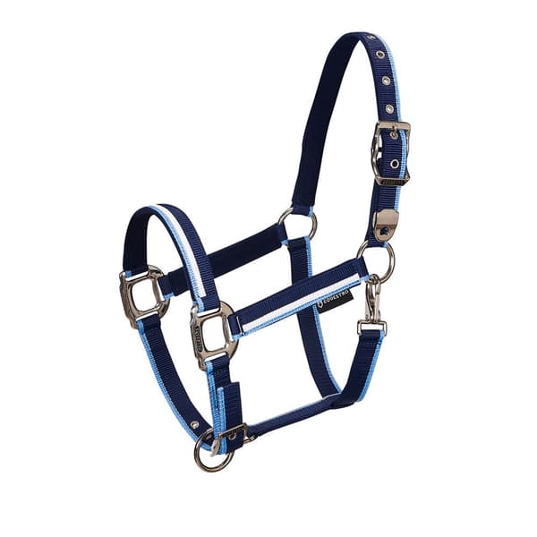 Equestro White Trim Riimu Ja Talutin  Coby