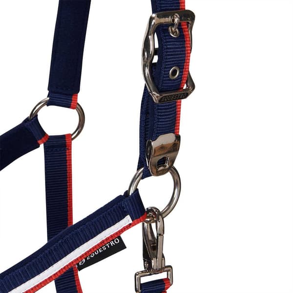 Equestro White Trim Riimu Ja Talutin  Pony