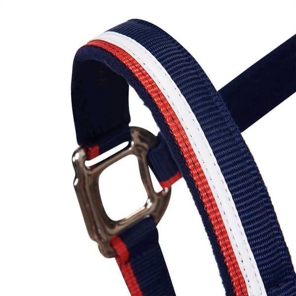 Equestro White Trim Riimu Ja Talutin  Pony