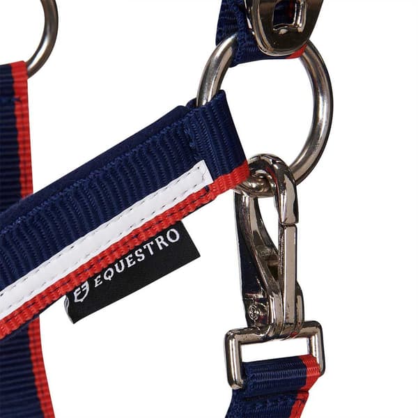 Equestro White Trim Riimu Ja Talutin  Pony
