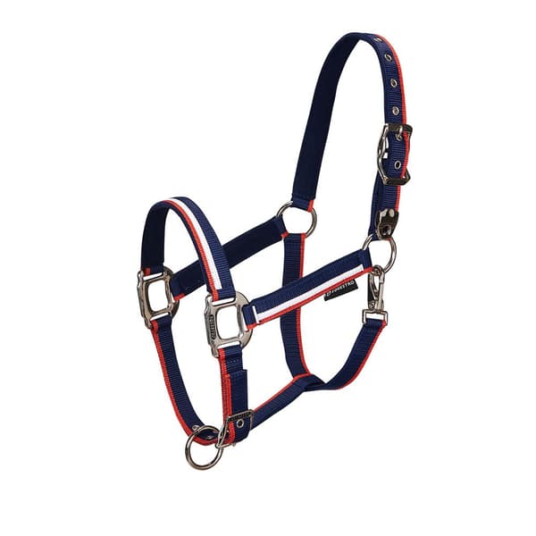 Equestro White Trim Riimu Ja Talutin  Coby