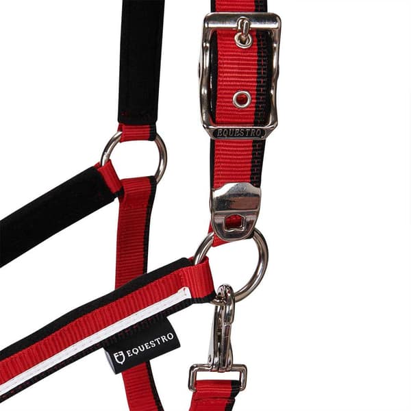 Equestro White Trim Riimu Ja Talutin  Pony