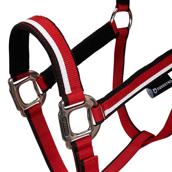 Equestro White Trim Grime Og Førerem  Coby