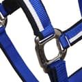 Miniatyrbild 3 av 5: Equestro White Trim Grimma Och Ledrep  Coby