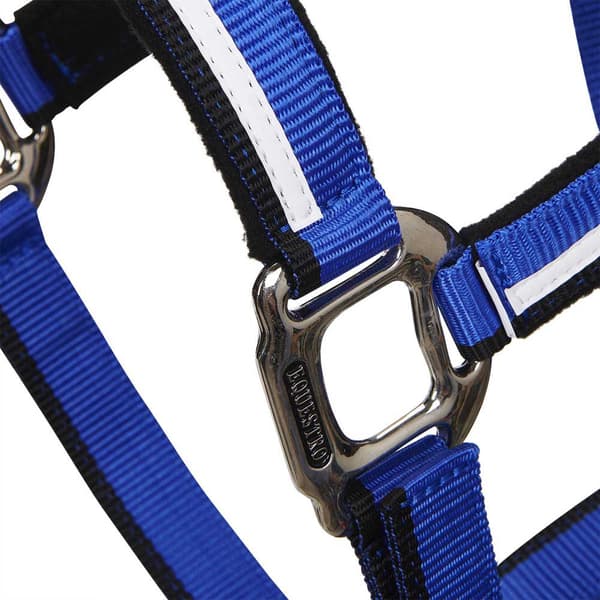 Equestro White Trim Grimma Och Ledrep  Coby