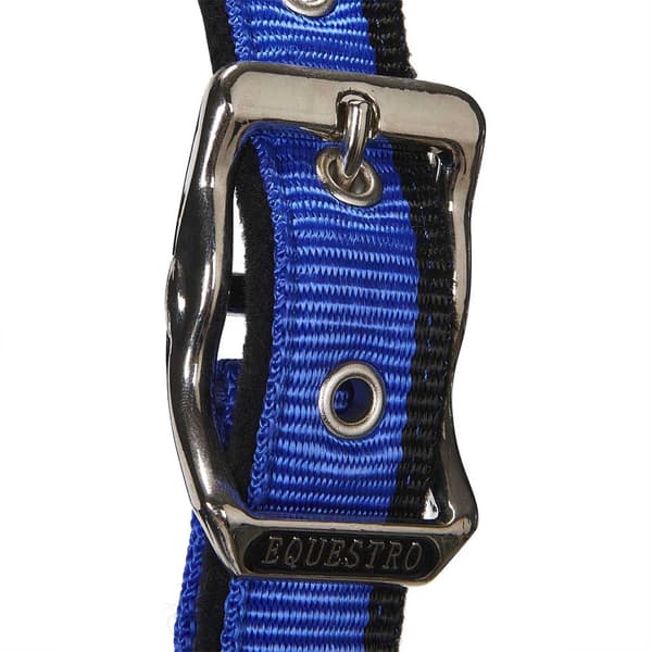 Equestro White Trim Grimma Och Ledrep  Coby