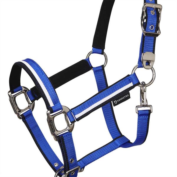 Equestro White Trim Grimma Och Ledrep  Coby
