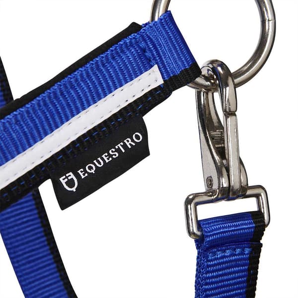 Equestro White Trim Grime Og Førerem  Pony