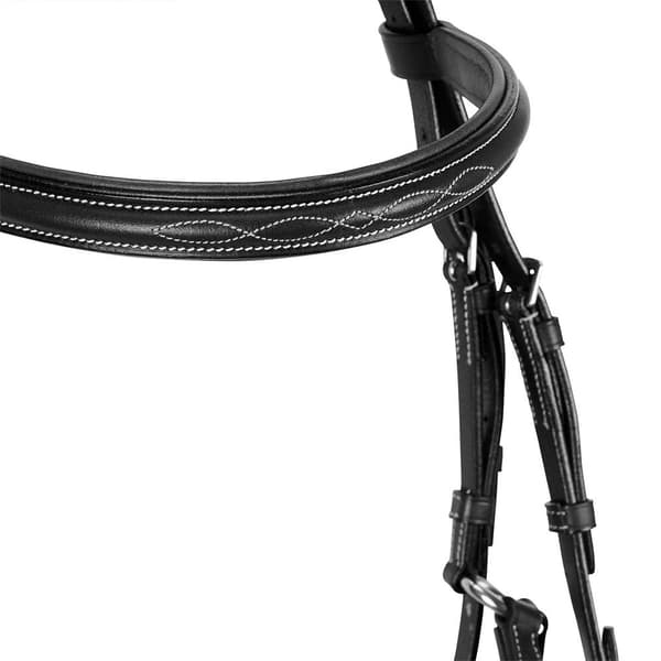 Equestro Mexican Tygel  Cob