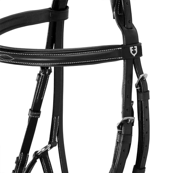 Equestro Mexican Tygel  Cob