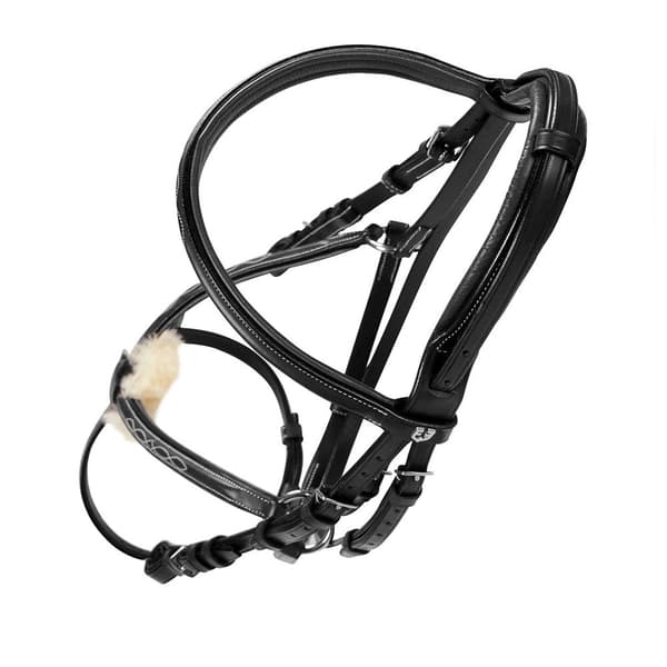 Equestro Mexican Tygel Cob