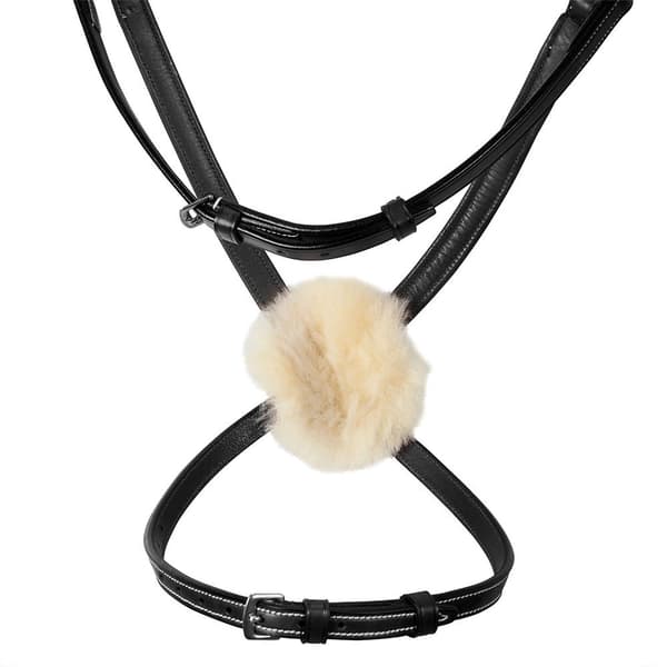 Equestro Mexican Tygel  Cob