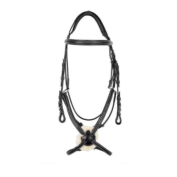 Equestro Mexican Tygel  Cob