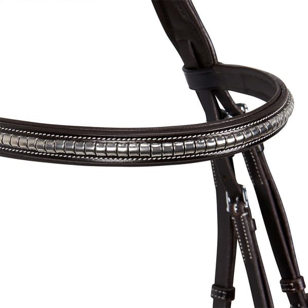 Equestro Np Halter Cob