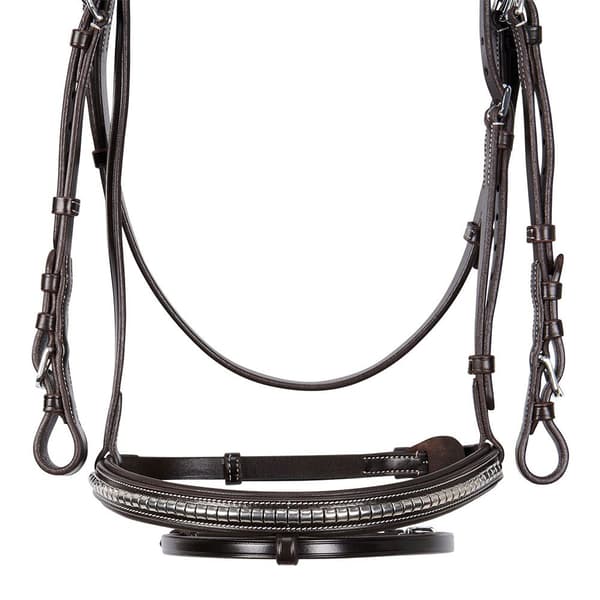 Equestro Np Halter  Cob