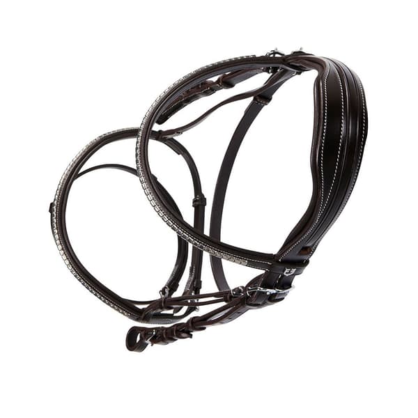 Equestro Np Halter  Cob