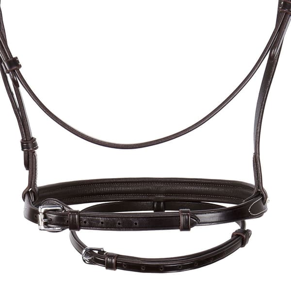 Equestro Np Halter Cob