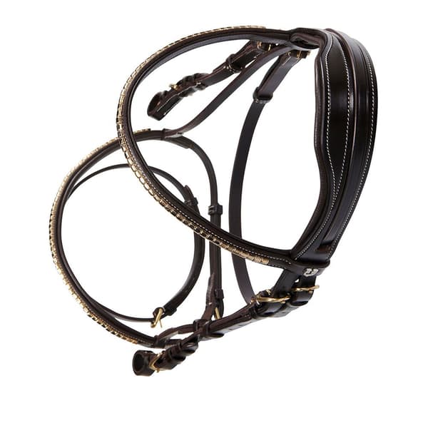Equestro Ottone Halter  Cob