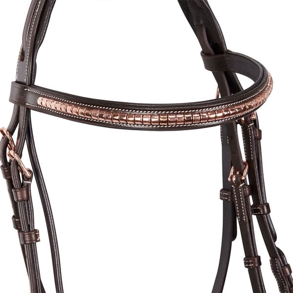 Equestro Rose Gold Halter  Full