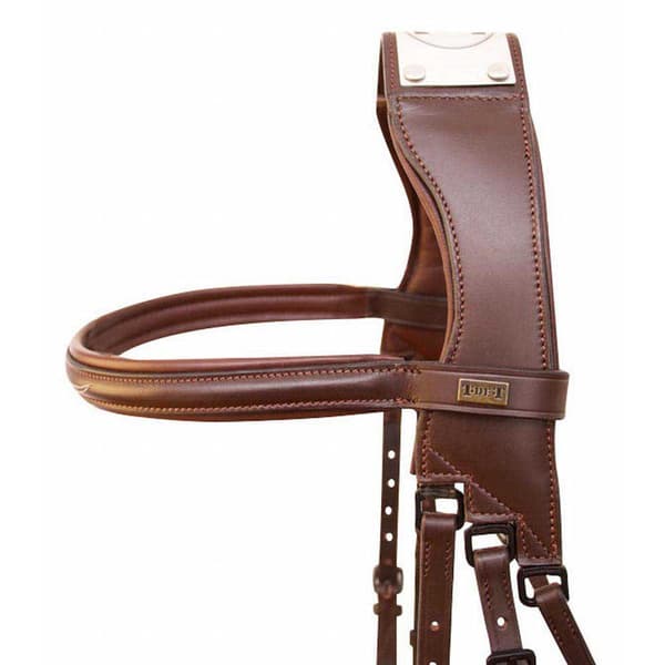 T.de.t Raphaël Bro Bidsel  Pony