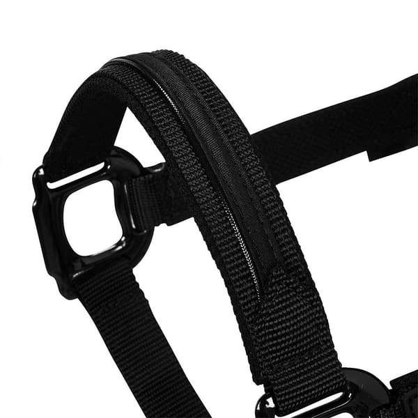 Equestro Elegance Riimu Ja Talutin Musta Full