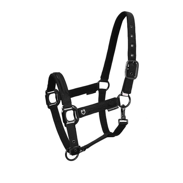 Equestro Elegance Riimu Ja Talutin Musta Full