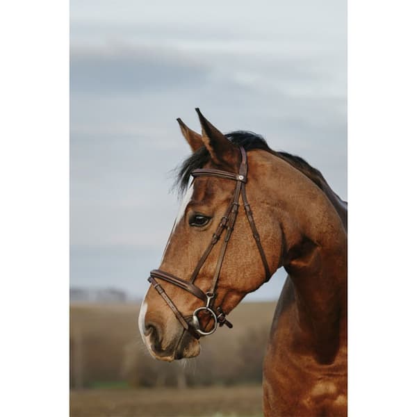 Norton Equestrian Easy Suitset  Full