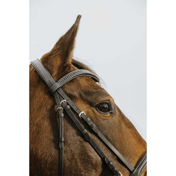 Norton Equestrian Strass V Tygel  Pony