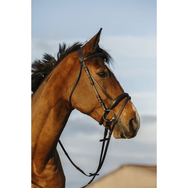 Riding World Dubbel Flash Nosgrimma  Full