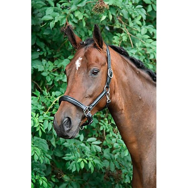 Horka Leather Halter Musta Pony