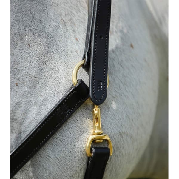 Premier Equine Plasco Halter  Full