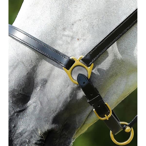Premier Equine Plasco Halter  Full